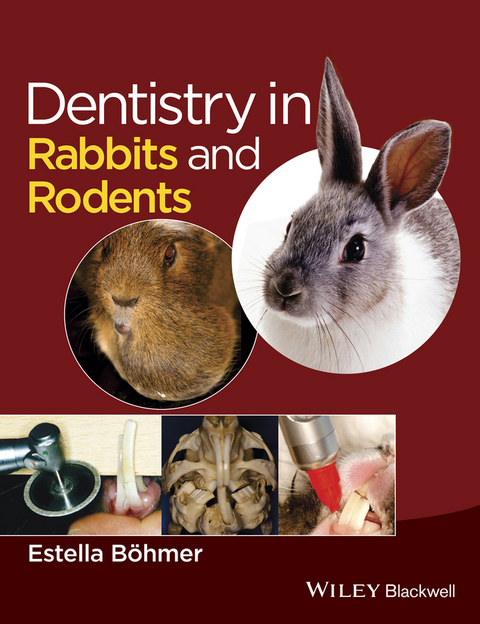 Dentistry in Rabbits and Rodents - Estella B&ouml;hmer