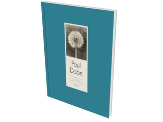 Paul Dobe: Photographische Naturstudien und Formfindung