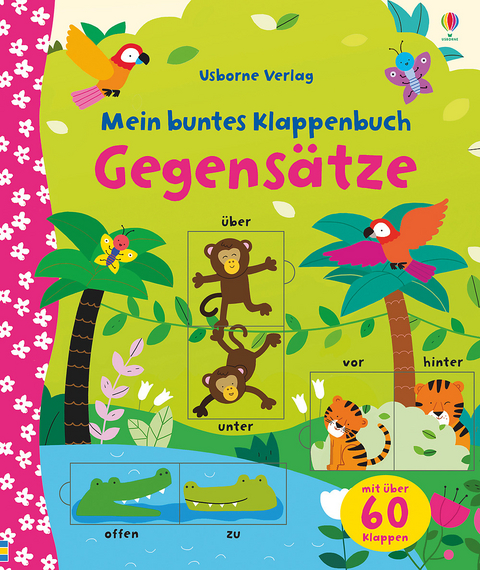 Mein buntes Klappenbuch: Gegens&auml;tze - Felicity Brooks