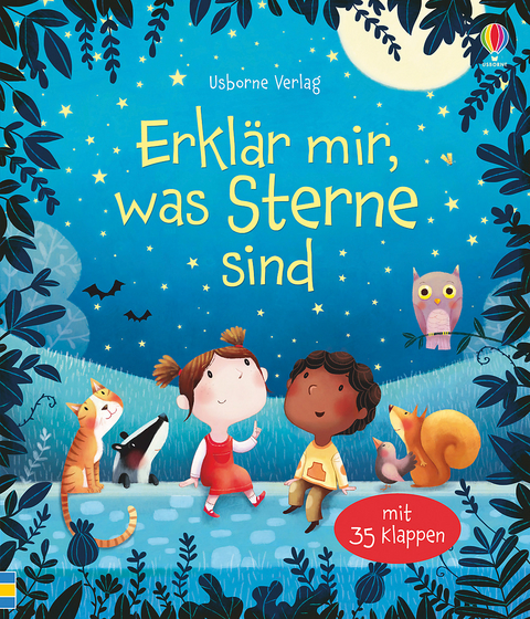 Erkl&auml;r mir, was Sterne sind - Katie Daynes