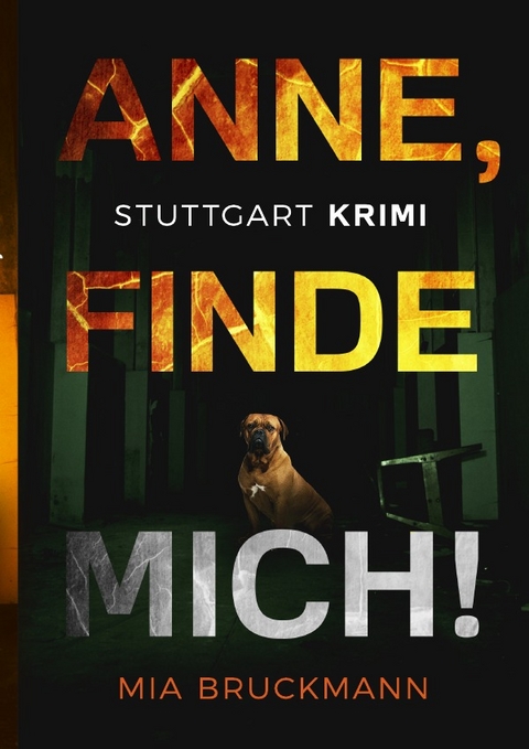 Folgeroman zu "Anne, rette mich!" / Anne, finde mich! - Mia Bruckmann