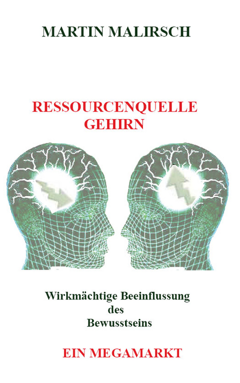 Ressourcenquelle Gehirn - Martin Malirsch