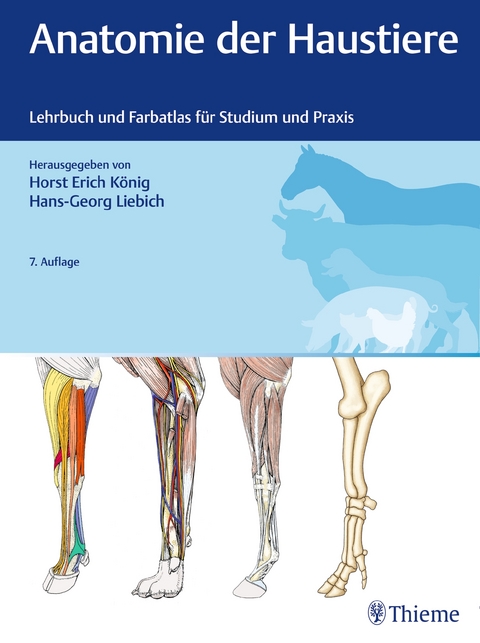 Anatomie der Haustiere - 