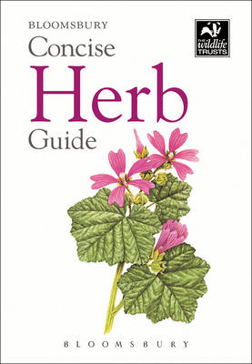 Concise Herb Guide -  Bloomsbury
