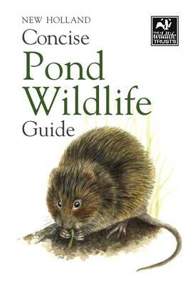 Concise Pond Wildlife Guide -  Bloomsbury