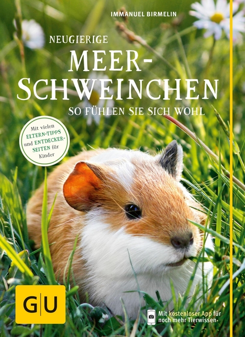 Neugierige Meerschweinchen - Immanuel Birmelin