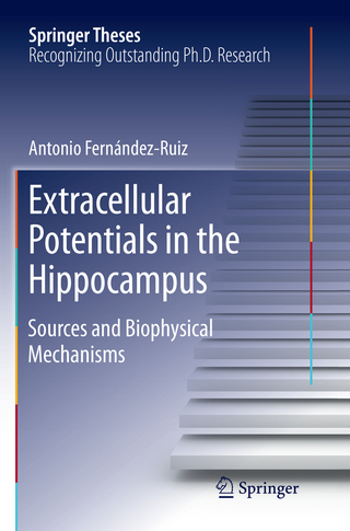 Extracellular Potentials in the Hippocampus