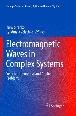 Electromagnetic Waves in Complex Systems