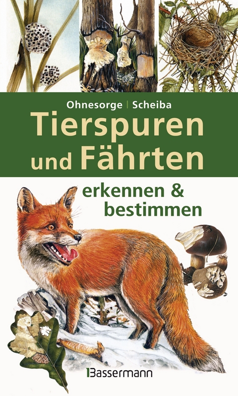 Tierspuren und F&auml;hrten erkennen & bestimmen - Gerd Ohnesorge, Bernd Scheiba