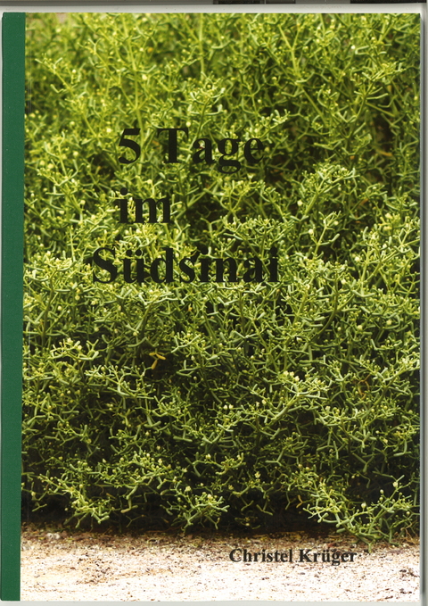 5 Tage im S&uuml;dsinai - Christel Kr&uuml;ger
