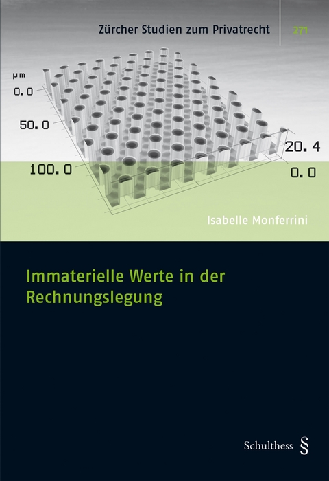 Immaterielle Werte in der Rechnungslegung - Isabelle Monferrini