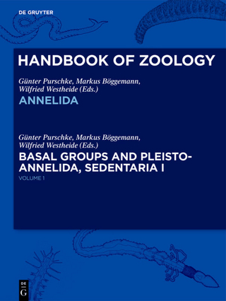 Annelida Basal Groups and Pleistoannelida, Sedentaria I