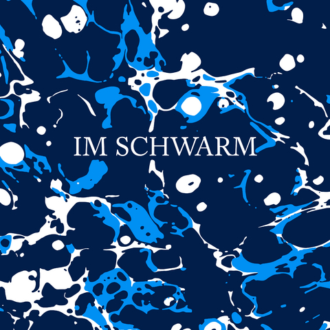 Im Schwarm - Michael Fehr, Manuel Troller, Andi Schnellmann, Julian Sartorius, Rico Baumann