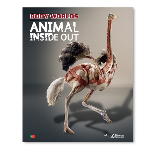 Body Worlds - Animal Inside Out (PT) - Gunther von Hagens, Angelina Whalley