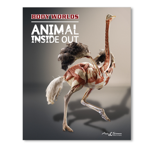 Body Worlds - Animal Inside Out (ES) - Gunther von Hagens, Angelina Whalley