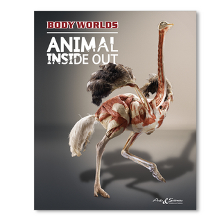 Body Worlds - Animal Inside Out (FI)