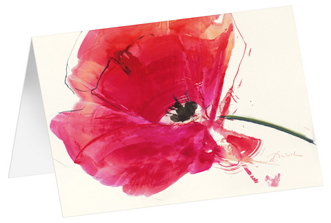 Roter Mohn - Kunst-Faltkarten ohne Text (5 St&uuml;ck) - 