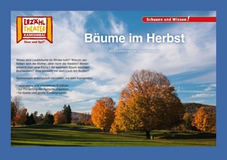 Bäume im Herbst / Kamishibai Bildkarten