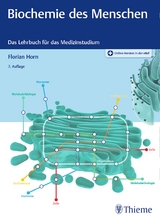 Biochemie des Menschen - Horn, Florian