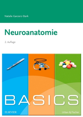 BASICS Neuroanatomie