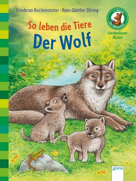 Der B&uuml;cherb&auml;r. Sachwissen f&uuml;r Erstleser / So leben die Tiere. Der Wolf - Friederun Reichenstetter