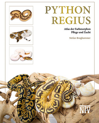 Python regius