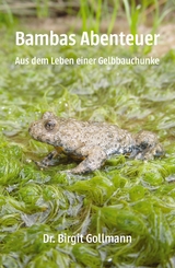 Bambas Abenteuer - Birigt Gollmann