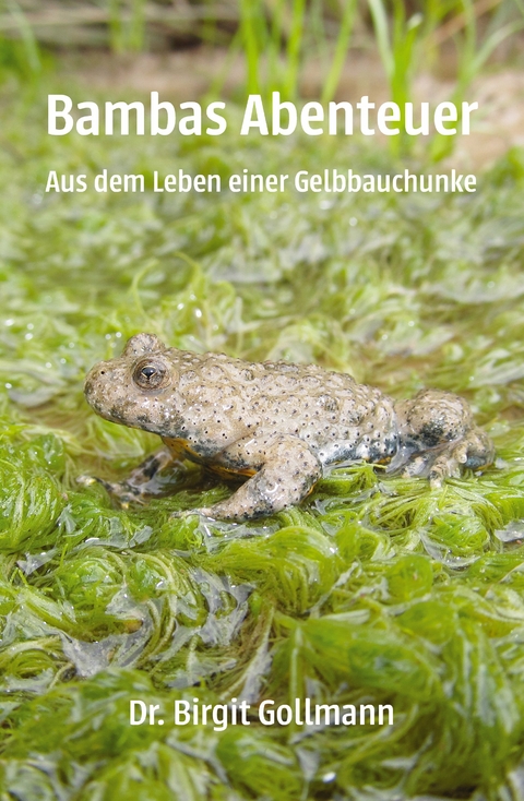 Bambas Abenteuer - Birigt Gollmann