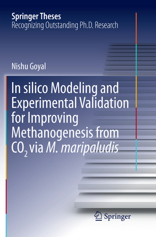 In silico Modeling and Experimental Validation for Improving Methanogenesis from CO2 via M. maripaludis