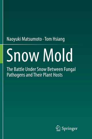Snow Mold
