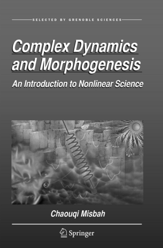 Complex Dynamics and Morphogenesis