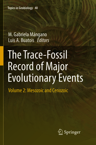 The Trace-Fossil Record of Major Evolutionary Events