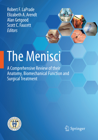 The Menisci