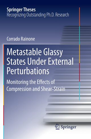 Metastable Glassy States Under External Perturbations