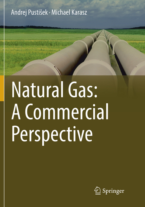 Natural Gas: A Commercial Perspective - Andrej Pusti&scaron;ek, Michael Karasz