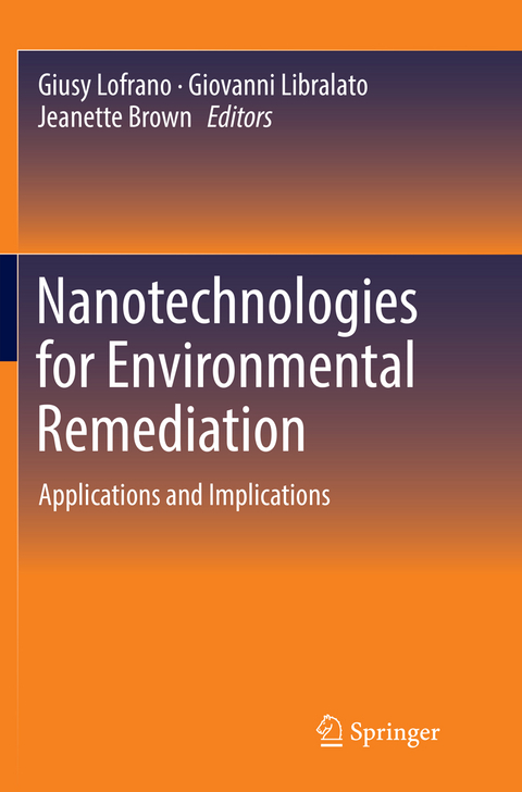 Nanotechnologies for Environmental Remediation - 