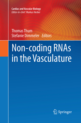 Non-coding RNAs in the Vasculature