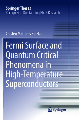 Fermi Surface and Quantum Critical Phenomena of High-Temperature Superconductors
