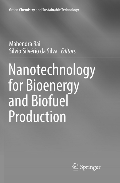 Nanotechnology for Bioenergy and Biofuel Production - 