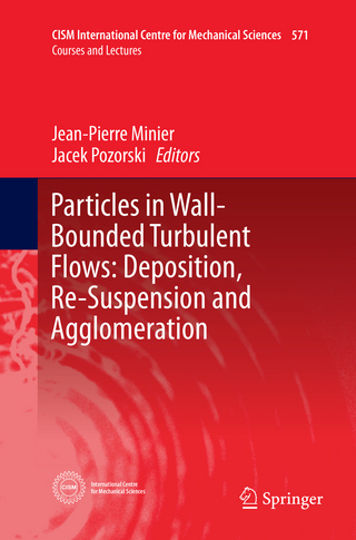 Particles in Wall-Bounded Turbulent Flows: Deposition, Re-Suspension and Agglomeration