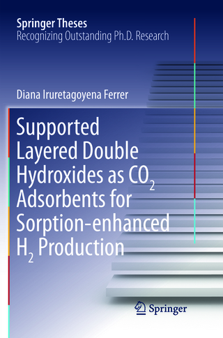 Supported Layered Double Hydroxides as CO2 Adsorbents for Sorption-enhanced H2 Production