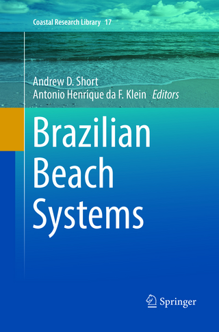 Brazilian Beach Systems