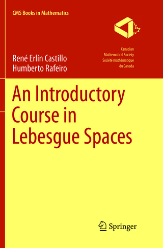 An Introductory Course in Lebesgue Spaces