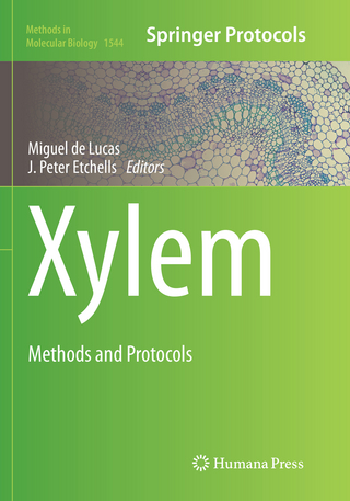 Xylem