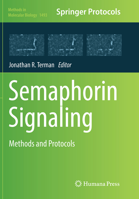 Semaphorin Signaling - 