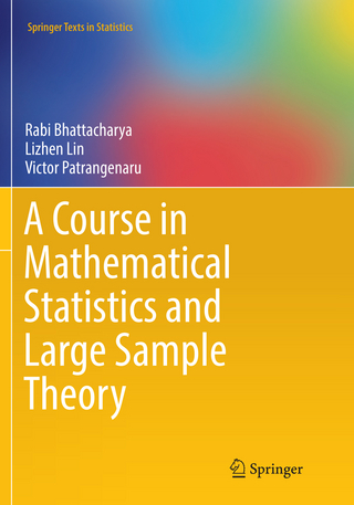 A Course in Mathematical Statistics and Large Sample Theory