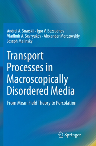 Transport Processes in Macroscopically Disordered Media