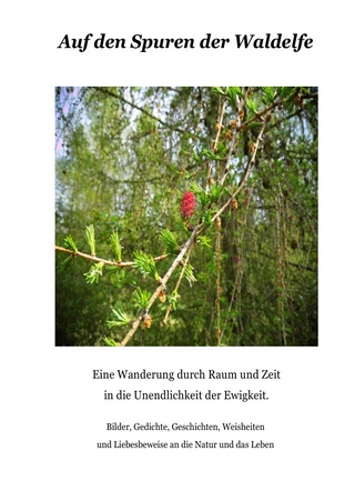 Auf den Spuren der Waldelfe