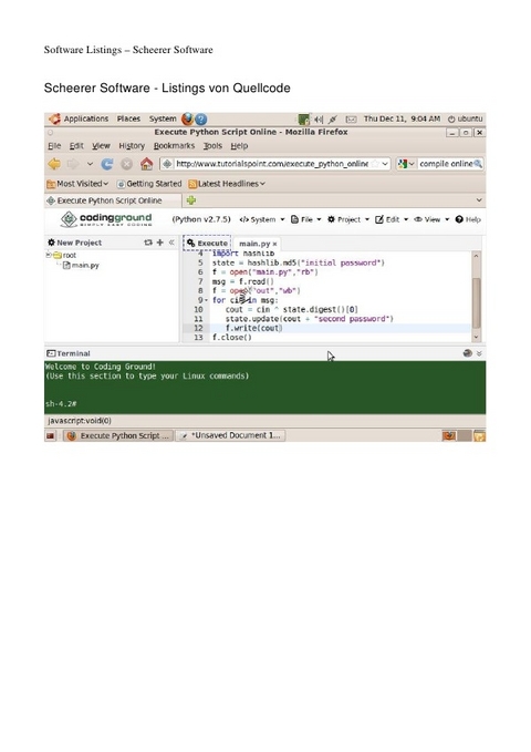 Scheerer Software - Das Buch - Franz Scheerer
