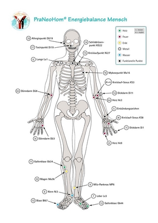 Akupunktur-Tafel Mensch